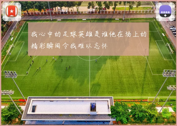 我心中的足球英雄是谁他在场上的精彩瞬间令我难以忘怀