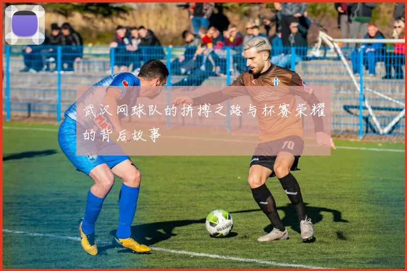 武汉网球队的拼搏之路与杯赛荣耀的背后故事