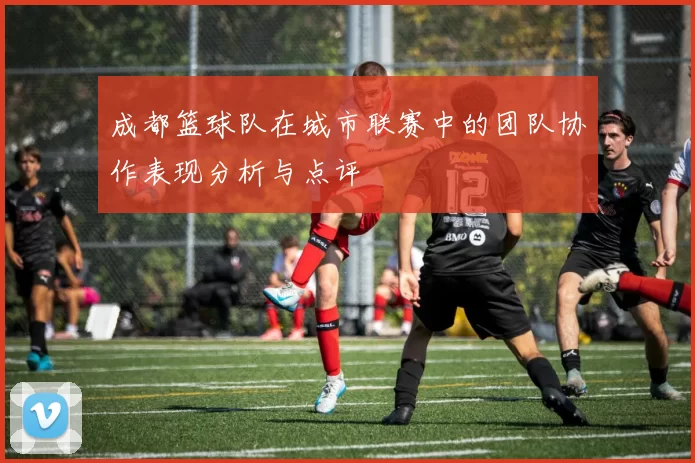 成都篮球队在城市联赛中的团队协作表现分析与点评