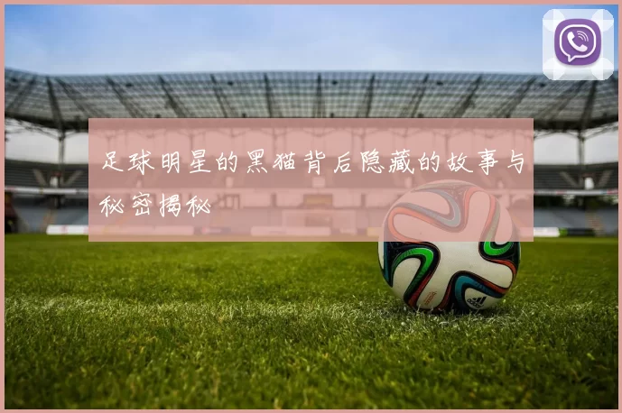 足球明星的黑猫背后隐藏的故事与秘密揭秘