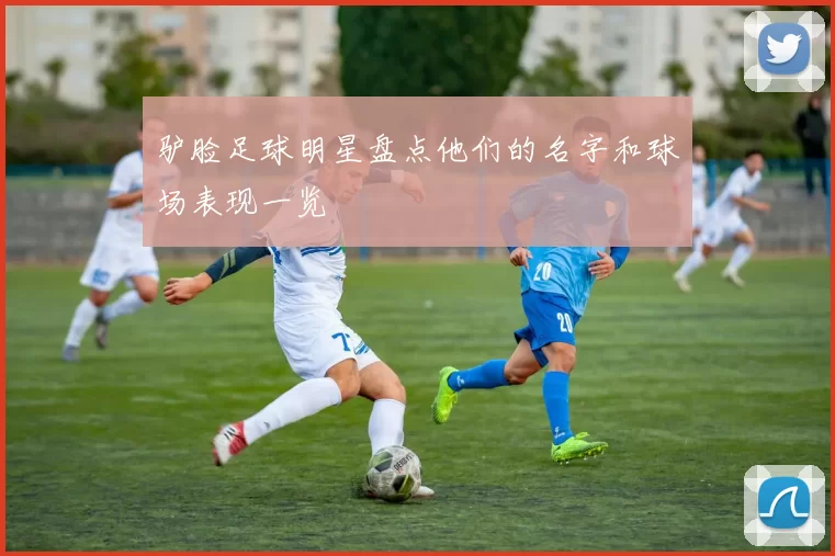 驴脸足球明星盘点他们的名字和球场表现一览
