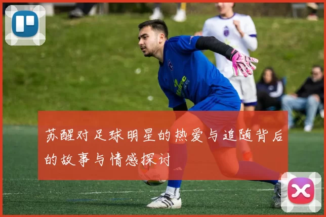 苏醒对足球明星的热爱与追随背后的故事与情感探讨
