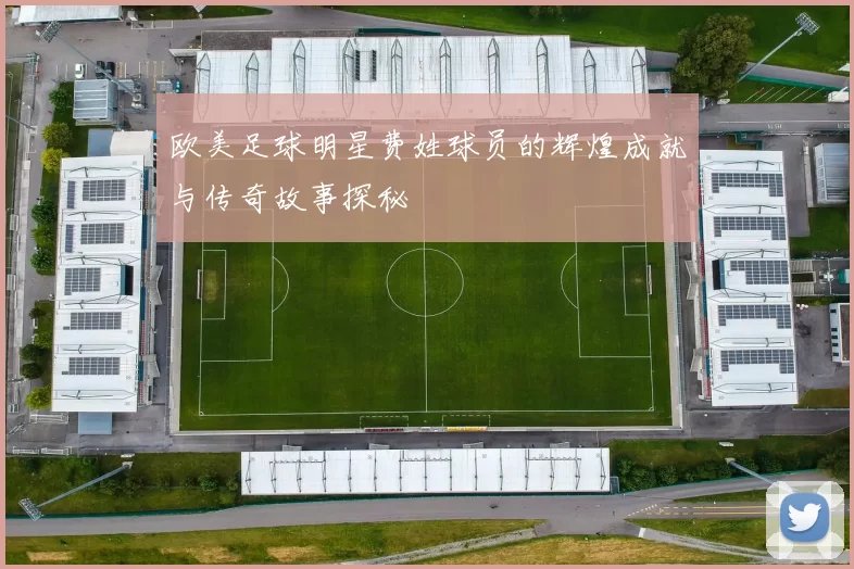 欧美足球明星费姓球员的辉煌成就与传奇故事探秘