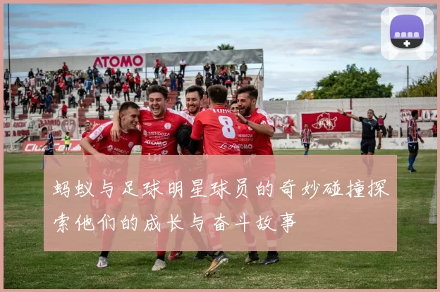 蚂蚁与足球明星球员的奇妙碰撞探索他们的成长与奋斗故事
