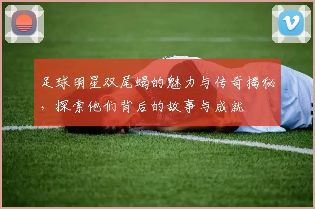 足球明星双尾蝎的魅力与传奇揭秘，探索他们背后的故事与成就