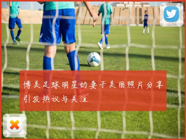 博美足球明星的妻子美丽照片分享引发热议与关注