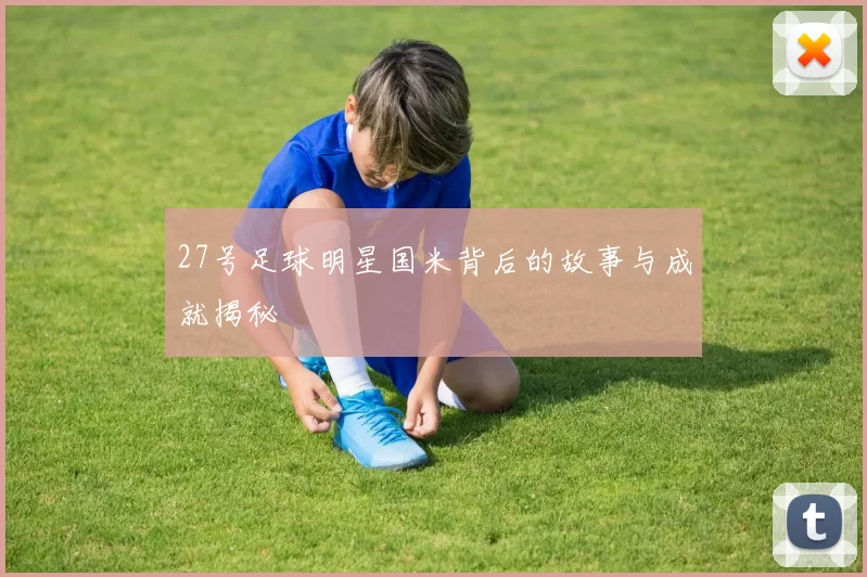 27号足球明星国米背后的故事与成就揭秘