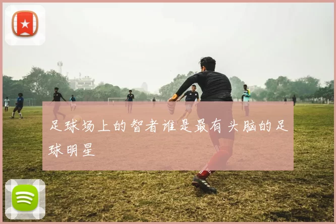 足球场上的智者谁是最有头脑的足球明星