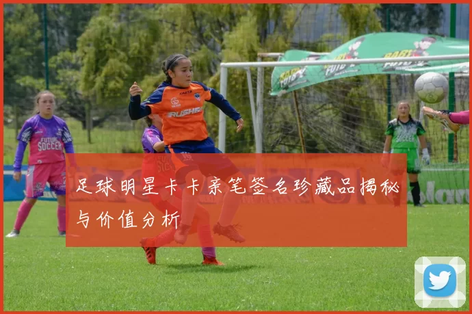 足球明星卡卡亲笔签名珍藏品揭秘与价值分析