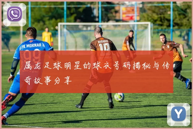 属龙足球明星的球衣号码揭秘与传奇故事分享