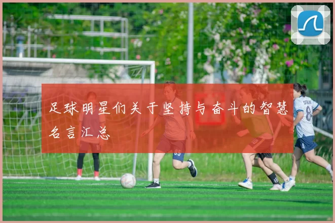 足球明星们关于坚持与奋斗的智慧名言汇总
